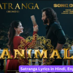 Satranga-Lyrics-in-Hindi-English-Bangla